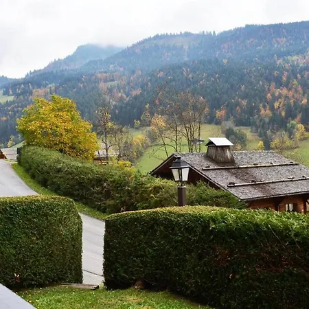 Le Grand-bornand, 1 Pièce, 4 Personnes - Fr-1-241-80